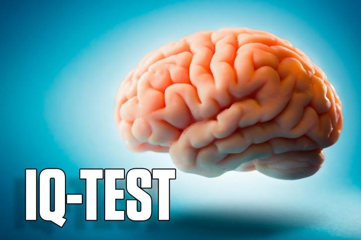 Een gratis IQ test maken